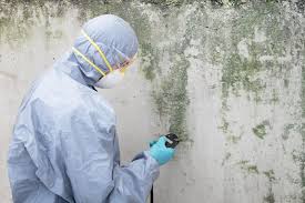 Asbestos and Lead Testing During Mold Inspection in Lorenzo, TX